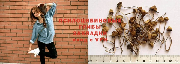 мескалин Дмитровск